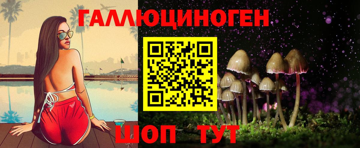 Псилоцибиновые грибы GOLDEN TEACHER  Вход с VPN  Каспийск 